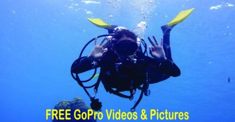 Panama City Beach: Beginners Scuba Diving Tour - Why This Tour Offers Great Value