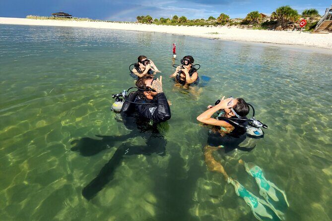 Panama City Scuba Diving Activity for Beginners - Review Highlights from Participants