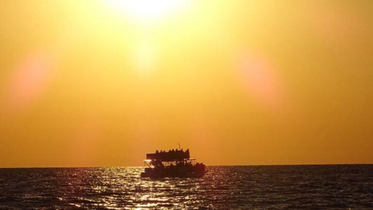 Panama City: Sunset Dolphin Cruise in St. Andrews Bay - Practical Details and Tips