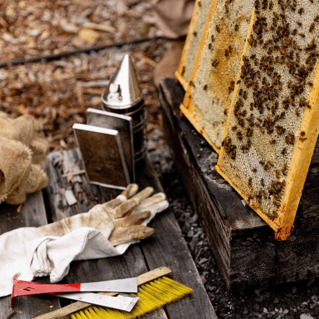 Paradise Valley: Bee Adventure Tour! - Why This Tour Offers Great Value