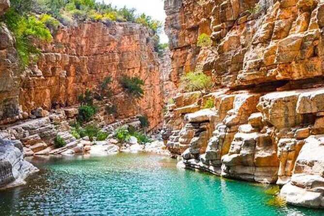 Paradise Valley Half Day Tour - Who Will Love This Tour?