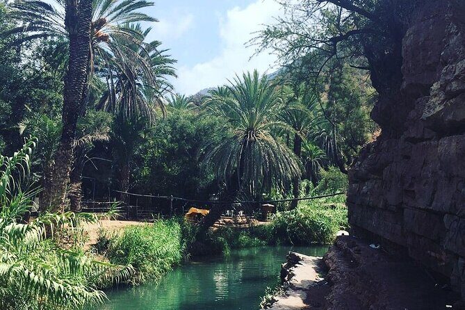 Paradise Valley & The Old Taghazout village Private Tour - Transportation and Comfort