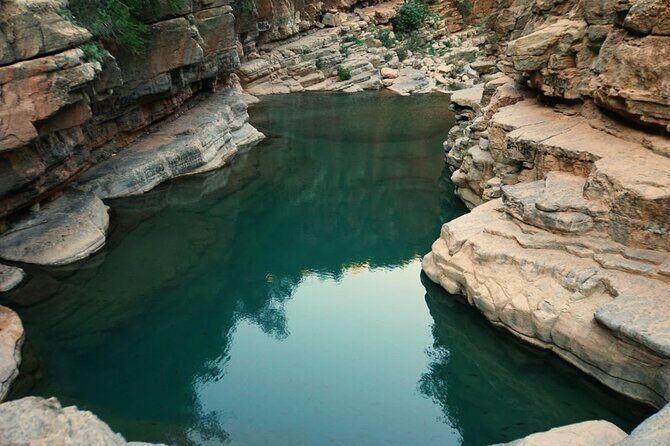 Paradise Valley Trip from Agadir - Cultural Stop at Argan Palace
