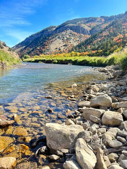 Park City: Guided Fly Fishing on Provo & Weber Rivers - Why This Tour Offers Great Value