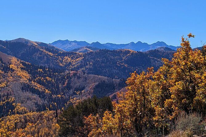 Park City Hiking Activity with Local Guide - Who Will Love This Tour?