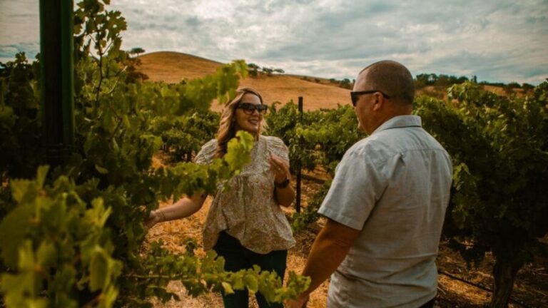 Paso Robles: The Luxe Wine Trail Excursion - Final Thoughts: Who Should Consider This Tour?