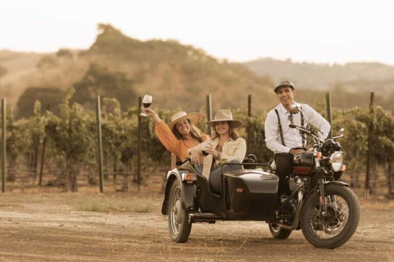 Paso Robles: Vineyard Rides Wine Adventure - Authentic Experiences and What Travelers Say