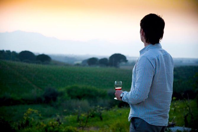 Paso Robles Wine Adventure with pickup from San Luis Obispo, CA - The Experience: What It Means for You