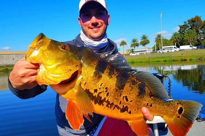 Peacock Bass Fishing Trip in Boynton Beach - An In-Depth Look at the Peacock Bass Fishing Experience