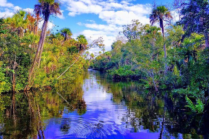 Peacock Bass Fishing Trip near Miami South Beach - Authentic Wildlife Encounters and Local Culture