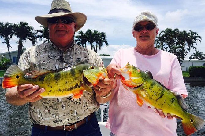 Peacock Bass Fishing Trips Near Key Largo - Why This Tour Offers Good Value