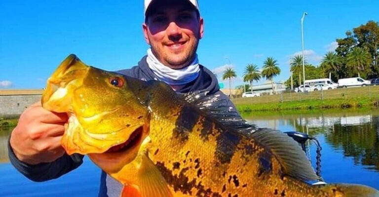 Peacock Bass Fishing Trips Near Miami Florida - Authentic Experiences and What You’ll Take Away