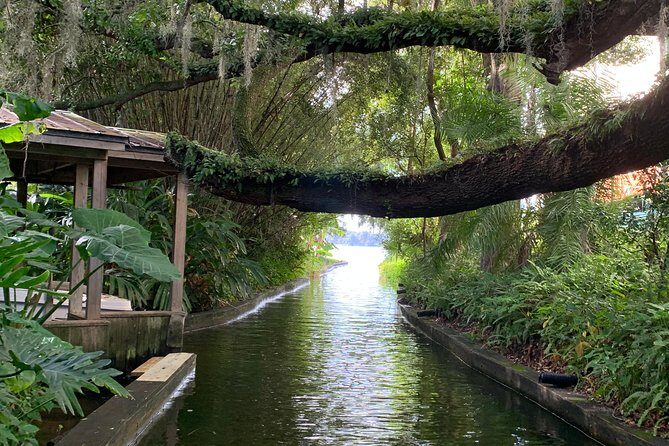 Peacocks, Presidents and Puzzles - The Winter Park Walking Tour + Boat - Exploring Winter Park: A Tour of Elegance and Stories