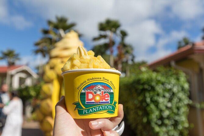 Pearl Harbor + Dole Plantation + Polynesian Center from Waikiki - A Deep Dive into the Day’s Journey