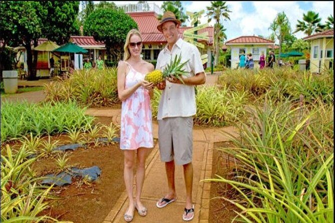 Pearl Harbor, Dole Plantation, Polynesian Center from Waikiki - Full Breakdown of the Itinerary