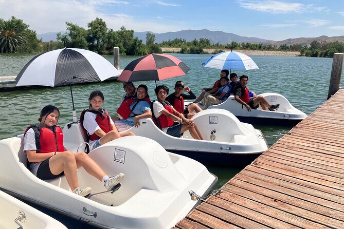 Pedal Boat Ride in Chino - Who Should Consider This Tour?