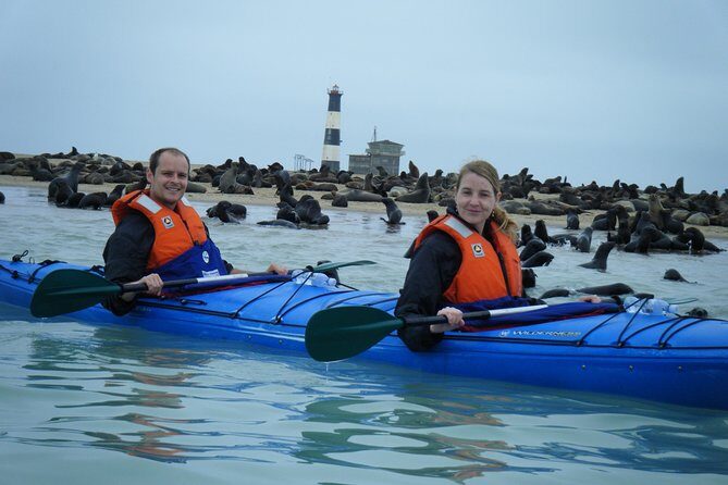 Pelican Point Kayaking Half-Day Tour - Practical Tips for Travelers