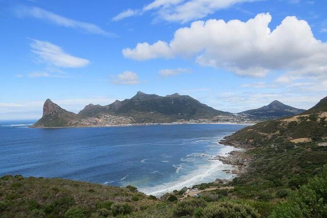 Penguin Time! Private Peninsula Experience. - Who Should Book This Tour?