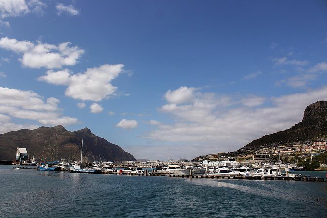 Peninsula Tour Cape Town - Real Traveler Perspectives