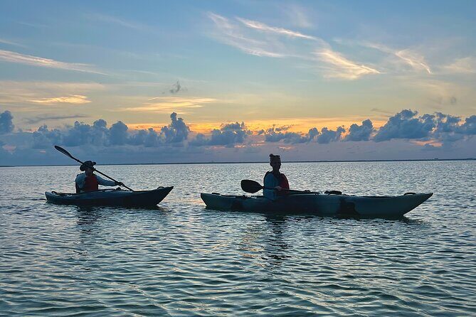 Pensacola Beach Kayak Tour - Final Thoughts: Who Should Consider This Experience?