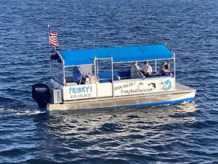 Pensacola Beach Sunset Dolphin Tour private up to 6 ppl - Considering the Cost: Is It Worth It?