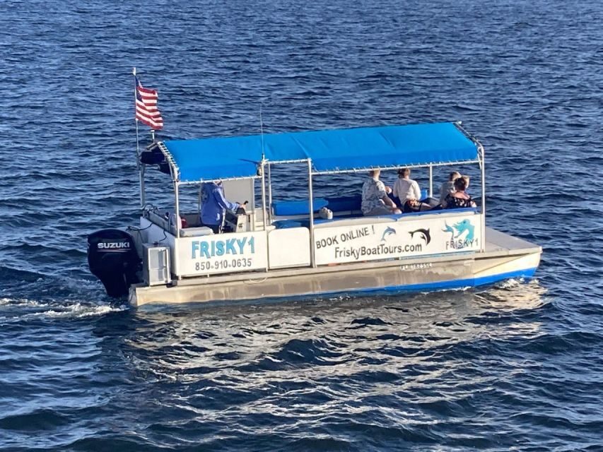 Pensacola Beach Sunset Dolphin Tour private up to 6 ppl - Considering the Cost: Is It Worth It?