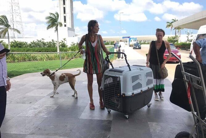 PET FRIENDLY Private Transfer Cancun - Playa del Carmen - The Practicalities: What You Need to Know
