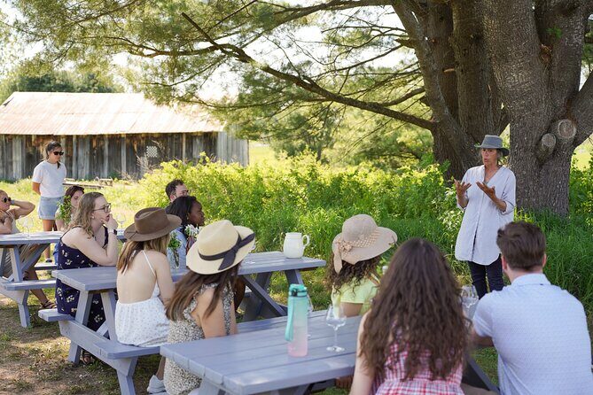 Petite Nation Wine & Cider Tour - Day Trip From Ottawa & Gatineau - What’s Included and What to Expect