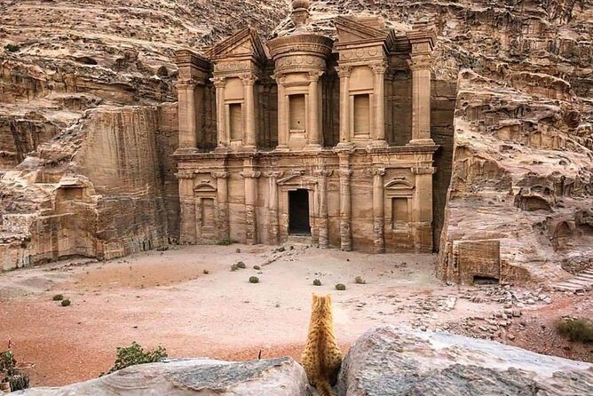 Petra Day Tour from Aqaba Port (Shore Excursion Petra) - JHT - Why This Tour Offers Good Value