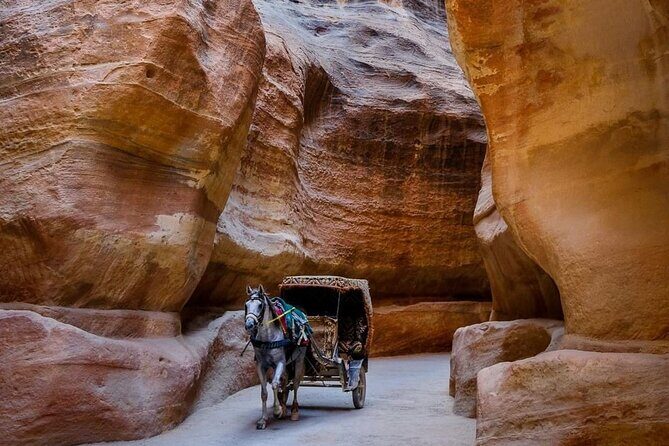 Petra Private Full-Day Tour - The Experience: Comfort, Convenience, and Authentic Insights