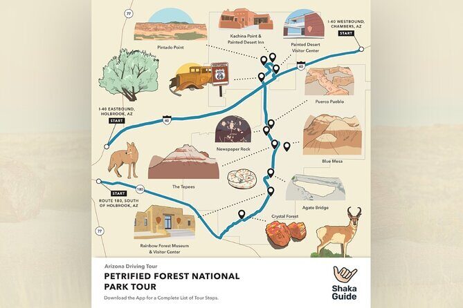 Petrified Forest National Park Self Guided Audio Driving Tour - The Sum Up