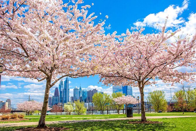 Philadelphia Cherry Blossom 1-Day Tour from New York - Highlights That Make It Stand Out