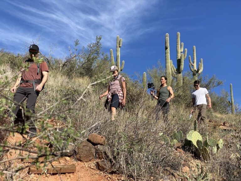 Phoenix: Amazing Two-Hour Guided Hike in the Sonoran Desert - Who Would Enjoy This Tour?