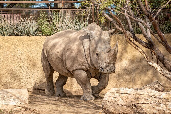 Phoenix Zoo Admission Ticket - Who Will Love This Experience?