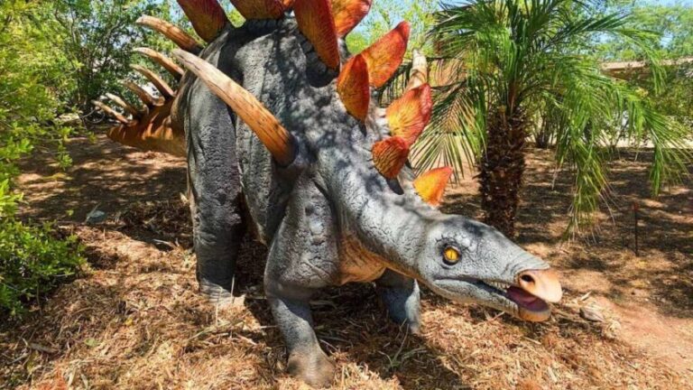 Phoenix Zoo One Day General Admission Ticket - The Value of Your Ticket