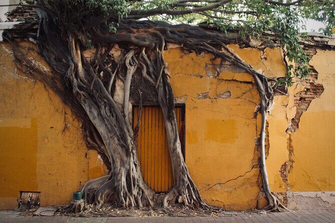 Photo Walking Tour Historic District Mazatlán - Exploring the Photo Walking Tour in Detail