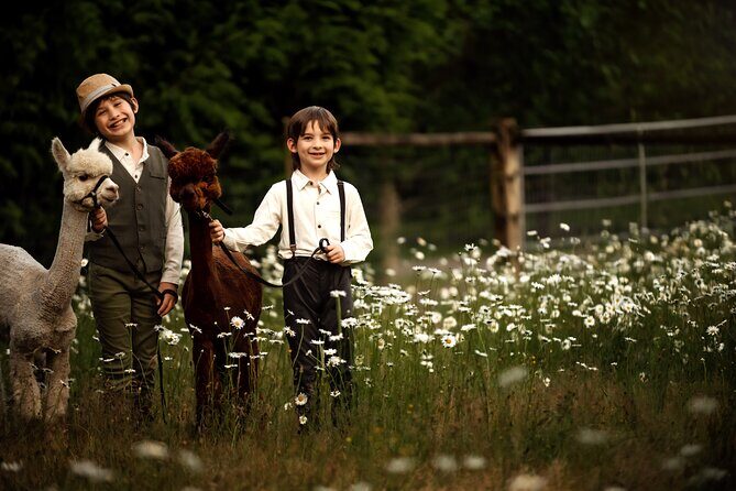 Photoshoot with Alpacas and Farm Experience near Seattle - Final Thoughts