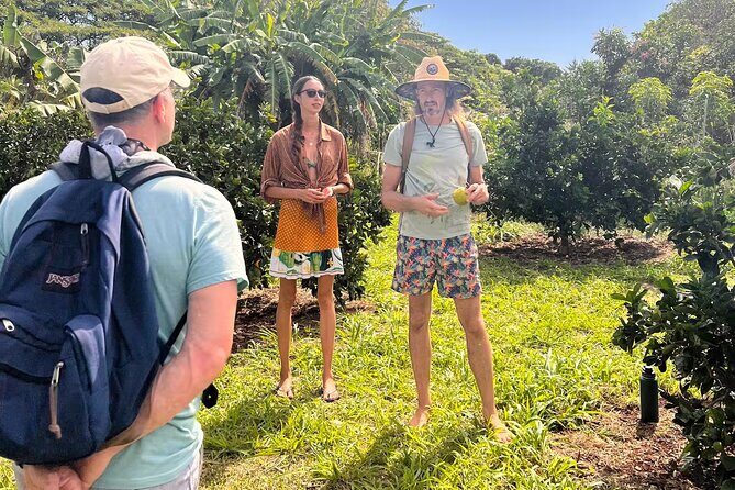 Pick and Taste Tropical Fruit - The Value of This Experience