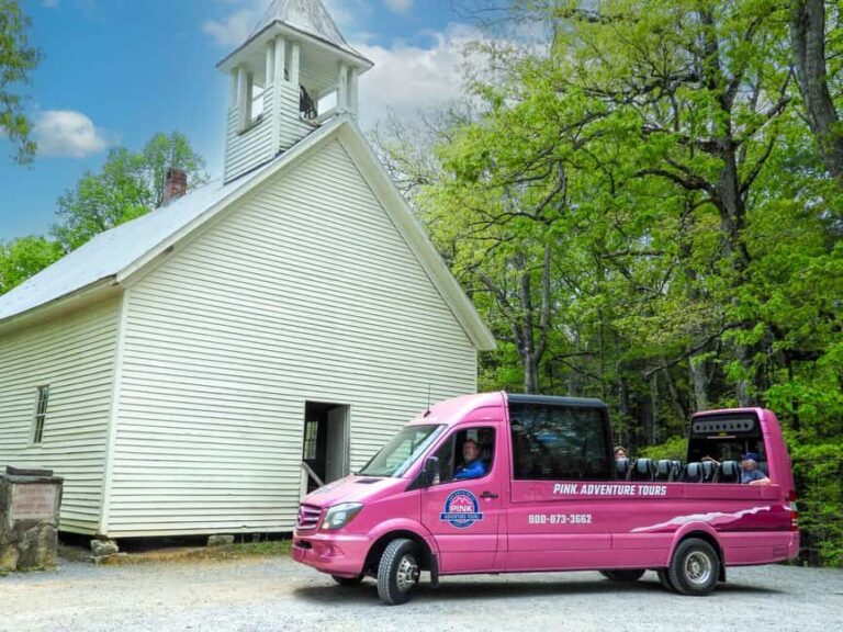 Pigeon Forge: Cades Cove Tour in a Pink Panorama Van - Exploring Wears Valley and Townsend