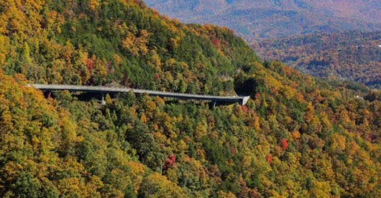 Pigeon Forge: Wears Valley Helicopter Tour - The Practical Details and What They Mean for You