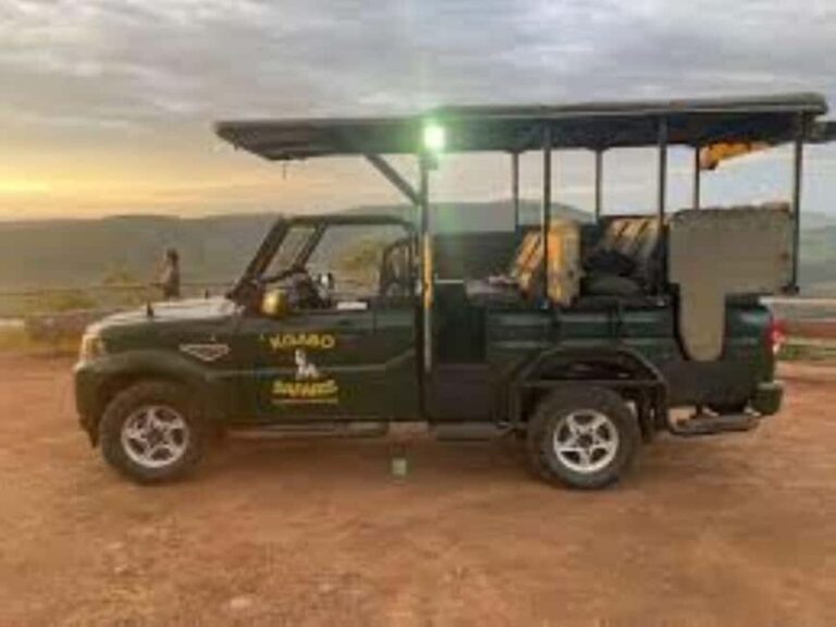 Pilanesberg : Evening Night Safari Drive - Who Is This Safari For?