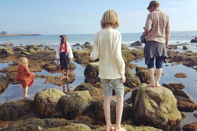 Pirate Sea Cave Tide Pool Walk at Dana Point - Authentic Experiences and Real Value