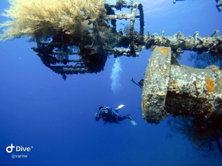 Pivate scuba diving in the Red Sea of Aqaba - A Well-Balanced Dive Experience