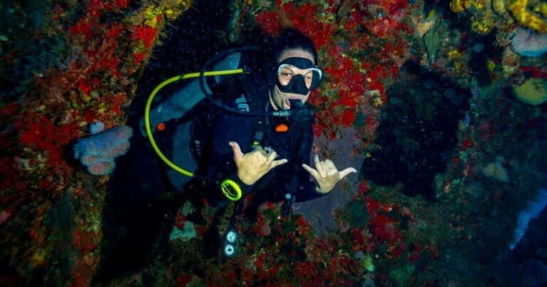 Playa del Carmen: Advanced Open Water Diver Course - An In-Depth Look at the Playa del Carmen Advanced Open Water Course