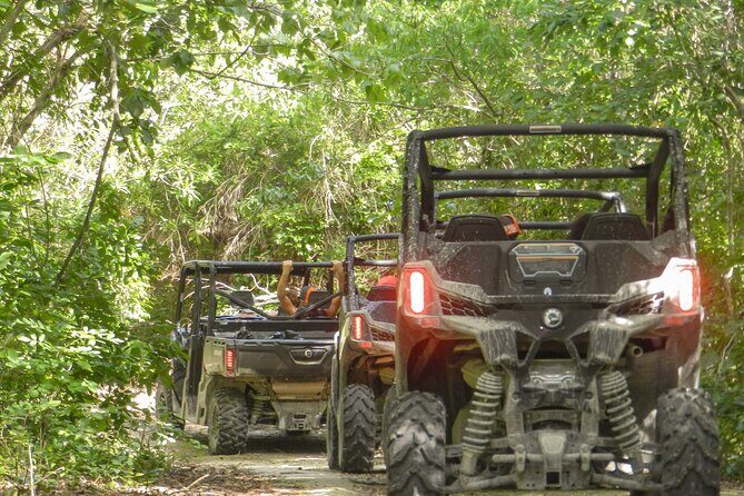 Playa del Carmen Buggy Tour with Cenote Swim and Mayan Village Visit - What the Reviews Say: Authentic Experiences and Good Value