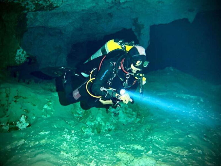 Playa del Carmen: Cenote Diving Experience - The Sum Up
