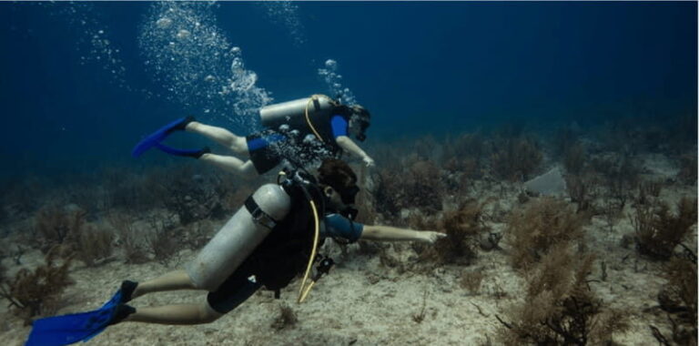 Playa del Carmen: Discover Scuba Diving - Who Should Consider This Tour?