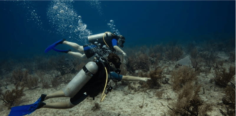 Playa del Carmen: Discover Scuba Diving - Who Should Consider This Tour?