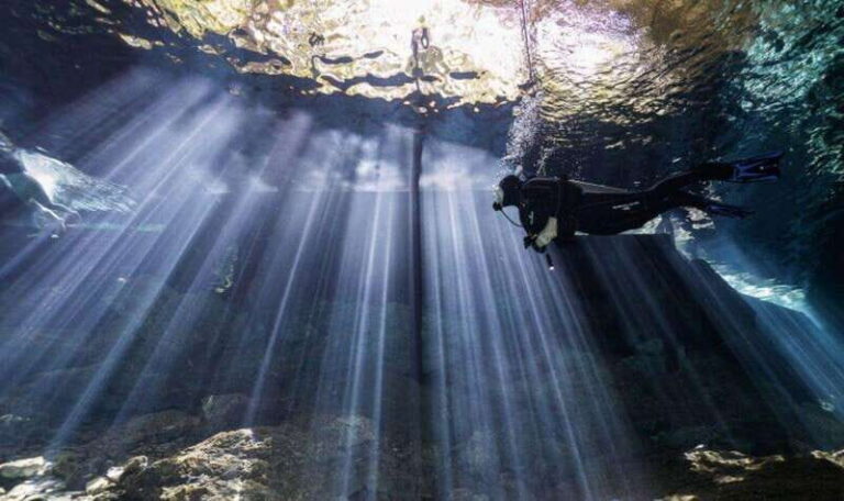 Playa del Carmen: Dive Cenote Chac Mool - Price and Value