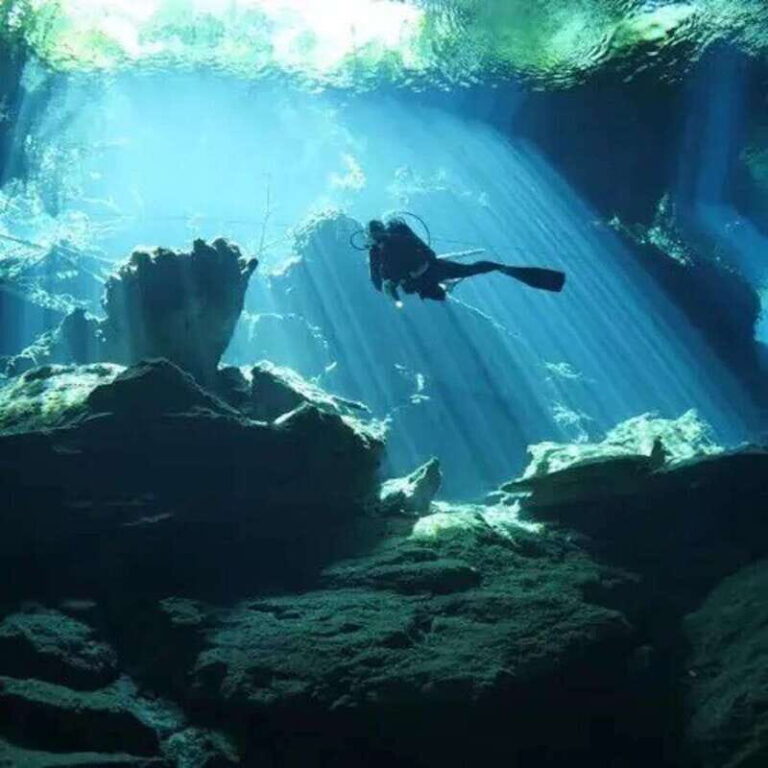 Playa del Carmen: Diving at Cenote Dos Ojos - What to Expect on the Tour